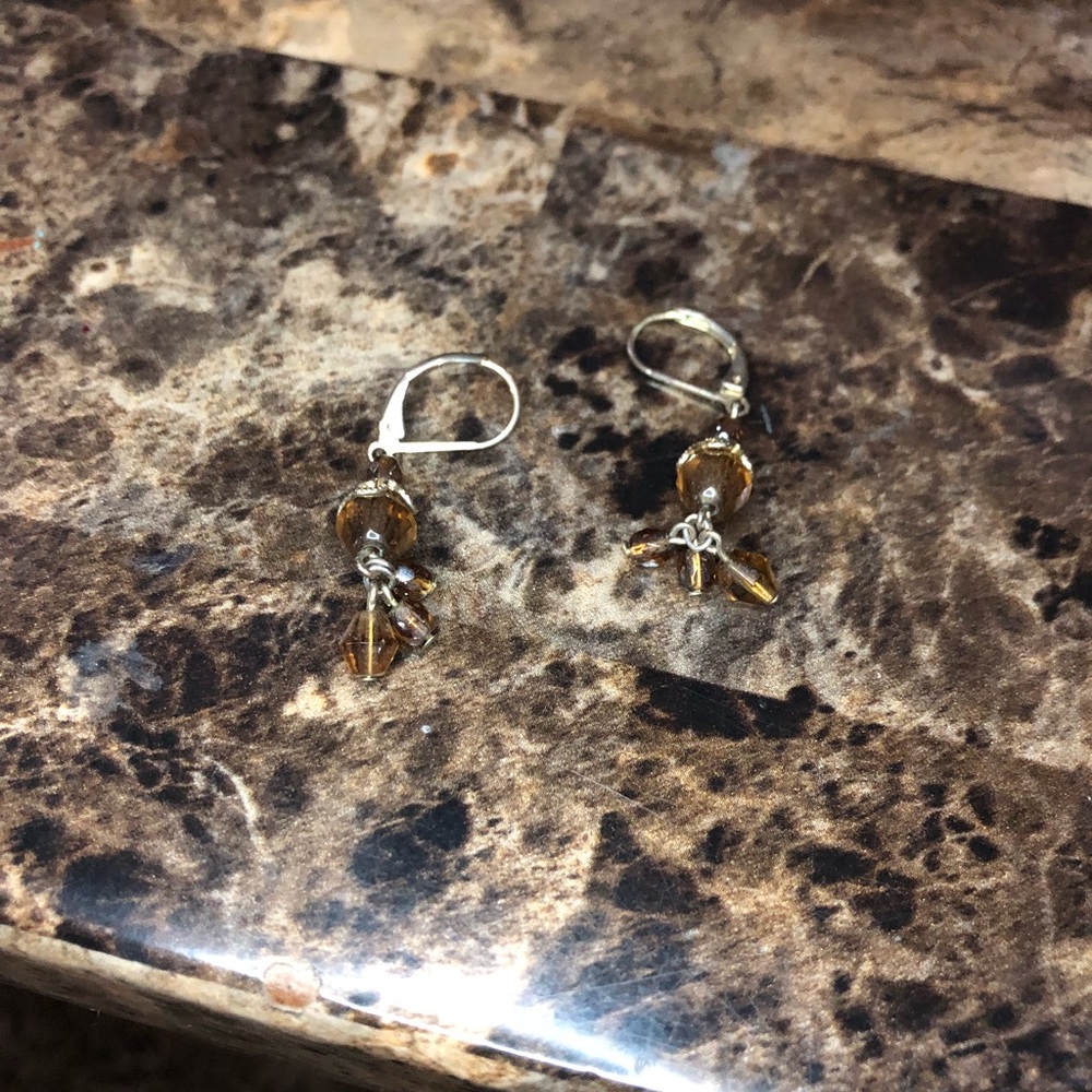 Brown Earrings